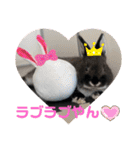黒うさぎのたも丸くん♥（個別スタンプ：19）