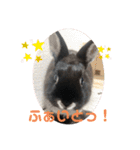 黒うさぎのたも丸くん♥（個別スタンプ：21）
