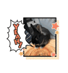 黒うさぎのたも丸くん♥（個別スタンプ：26）