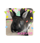 黒うさぎのたも丸くん♥（個別スタンプ：28）