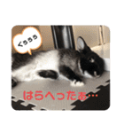 黒うさぎのたも丸くん♥（個別スタンプ：32）