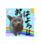 くもりくんの日常スタンプ。（個別スタンプ：1）