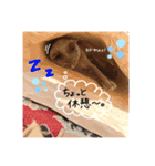 くもりくんの日常スタンプ。（個別スタンプ：2）
