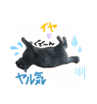 くもりくんの日常スタンプ。（個別スタンプ：6）