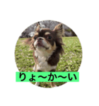 イヌ三昧（個別スタンプ：2）