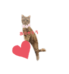 保護猫チャトと仲間達♪（個別スタンプ：5）
