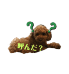 とらくんのスタンプ！！！！3（個別スタンプ：1）
