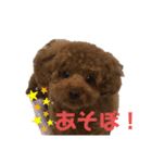 とらくんのスタンプ！！！！3（個別スタンプ：4）