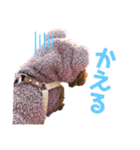 とらくんのスタンプ！！！！3（個別スタンプ：8）