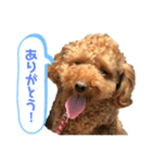 とらくんのスタンプ！！！！3（個別スタンプ：9）