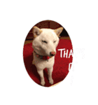 MAY HAPPY BE WITH YOU！！（個別スタンプ：21）