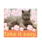 MAY HAPPY BE WITH YOU！！（個別スタンプ：34）