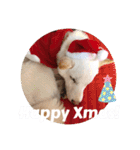 MAY HAPPY BE WITH YOU！！（個別スタンプ：40）