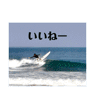 LIP'S SURFサーファーだからいつも海と一緒（個別スタンプ：13）