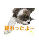 atlas ＆ marron 日和 3（個別スタンプ：13）