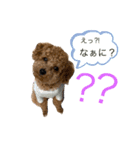 ラテ♡ちん（個別スタンプ：4）
