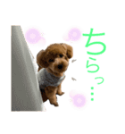 ラテ♡ちん（個別スタンプ：7）