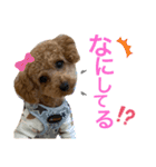ラテ♡ちん（個別スタンプ：13）