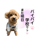 ラテ♡ちん（個別スタンプ：16）