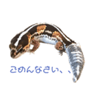 きんぐ＆ぬー2（個別スタンプ：2）