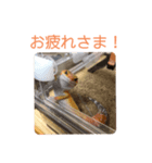 きんぐ＆ぬー2（個別スタンプ：5）