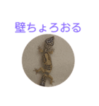 きんぐ＆ぬー2（個別スタンプ：6）
