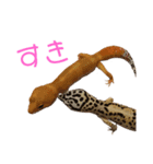 きんぐ＆ぬー2（個別スタンプ：7）