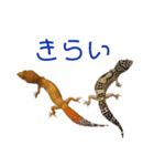 きんぐ＆ぬー2（個別スタンプ：8）