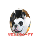 まるさだ商店（個別スタンプ：3）