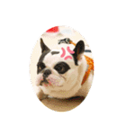 まるさだ商店（個別スタンプ：8）