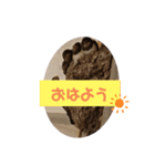 今年のツバメちゃん（個別スタンプ：1）