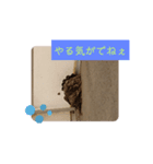今年のツバメちゃん（個別スタンプ：3）
