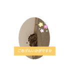 今年のツバメちゃん（個別スタンプ：7）