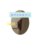 今年のツバメちゃん（個別スタンプ：8）
