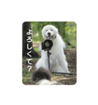 グレートピレニーズの里桜とお友達（個別スタンプ：18）