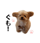 おばぁわんズ（個別スタンプ：1）