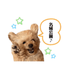 おばぁわんズ（個別スタンプ：17）