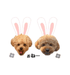 おばぁわんズ（個別スタンプ：32）