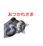 「つきちゃん」の気持ち（個別スタンプ：2）
