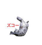 「つきちゃん」の気持ち（個別スタンプ：5）