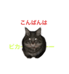 「つきちゃん」の気持ち（個別スタンプ：12）