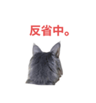 「つきちゃん」の気持ち（個別スタンプ：14）