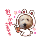 ももは挨拶①（個別スタンプ：4）