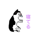 猫のももた③（個別スタンプ：5）