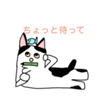 猫のももた③（個別スタンプ：12）
