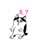 猫のももた③（個別スタンプ：13）