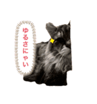 トマくんの七変化（個別スタンプ：1）