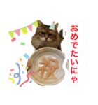 トマくんの七変化（個別スタンプ：8）