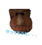 ベガスタンプ2（個別スタンプ：22）
