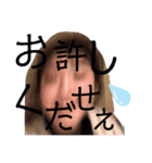 みよしです（個別スタンプ：15）